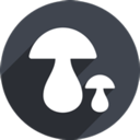 Mogu Cheap VPN, 蘑菇当然可以，以下是重新表述后的文本：

便宜梯子加速器